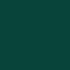 Color Image For Forest