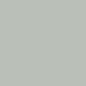Selected Color