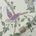 Color Image For Summer Palace Iris