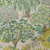 Tatton Candy Olive