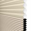 Ivory Cream