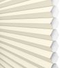 Canvas Tan
