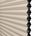 Color Image For Mushroom Cap