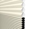 Canvas Tan