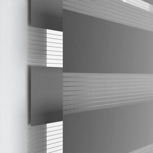 Silver Screen 9981
