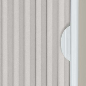 Pale Winter SC 11338