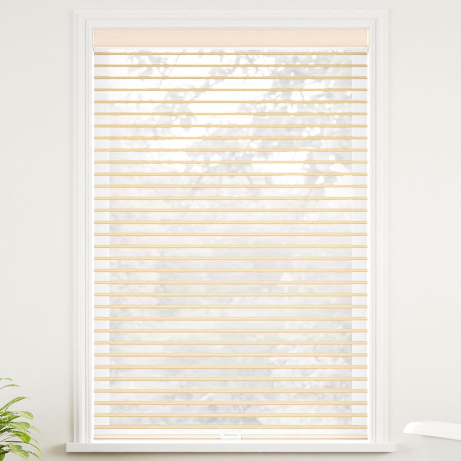 Window Blinds Unique Light Filtering Sheer Shade Double Roller Shade Custom Made 