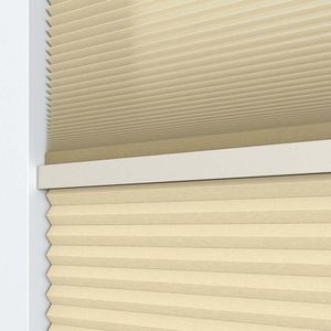 Ivory Beige 5615
