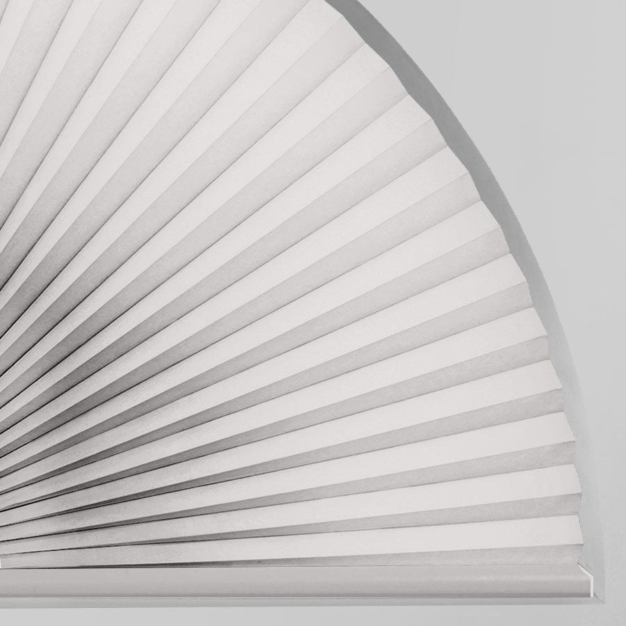 Pale Winter SC 11329