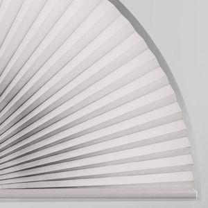 Pale Winter SC 11329