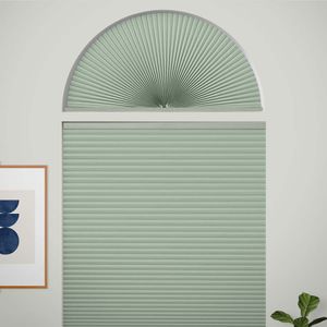 Sage Cactus SC 11464