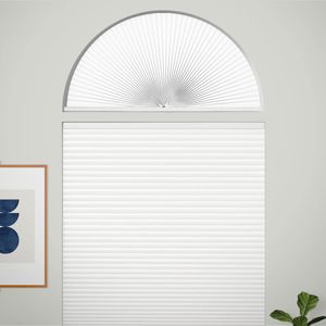 Floral White SC 6512