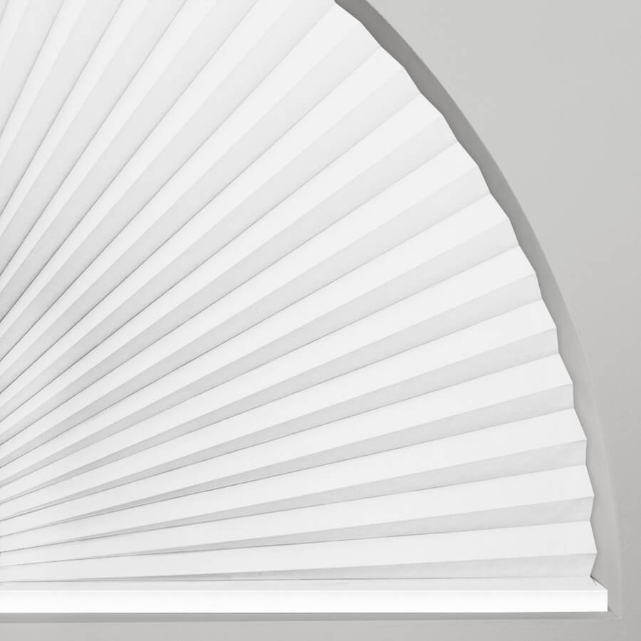 Floral White SC 6512