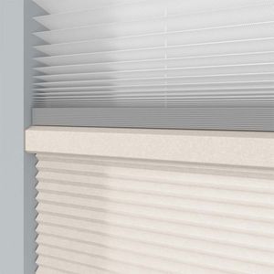 Sesame Seed DC 11398