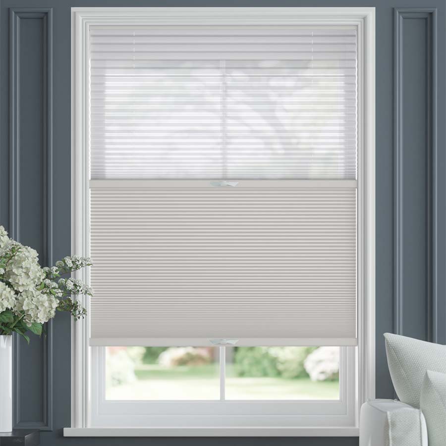 Pale Winter SC 11338