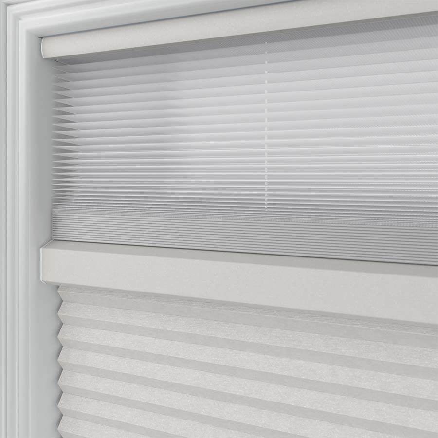 Pale Winter SC 11338