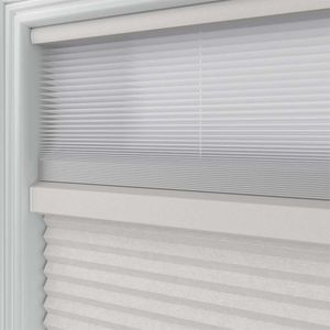 Pale Winter SC 11338