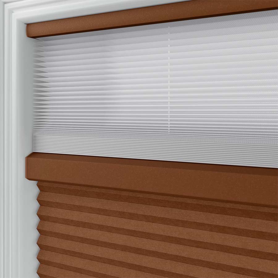 Pumpkin Spice SC 11463