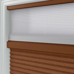 Pumpkin Spice SC 11463