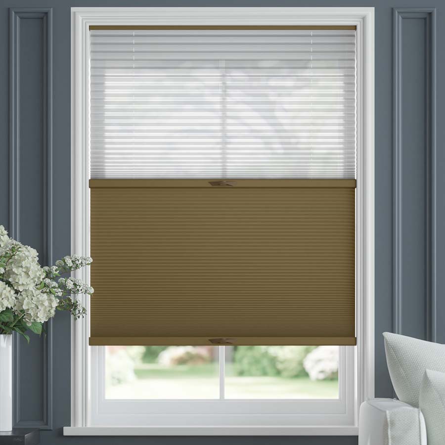 Sepia SC 6527