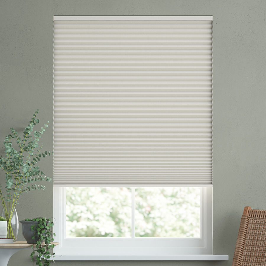 Camellia White 11673