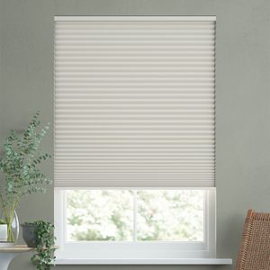 Camellia White 11673