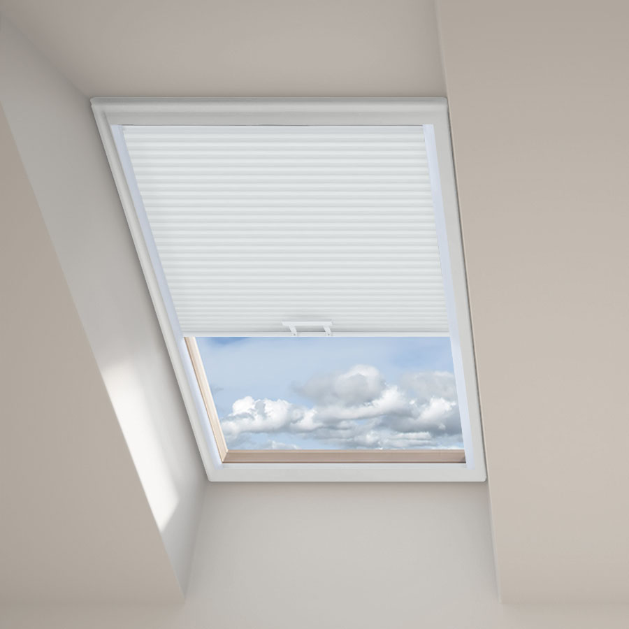 Dewy Morning DC 11395