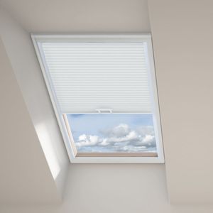 Dewy Morning DC 11395