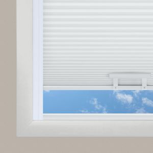 Dewy Morning DC 11395