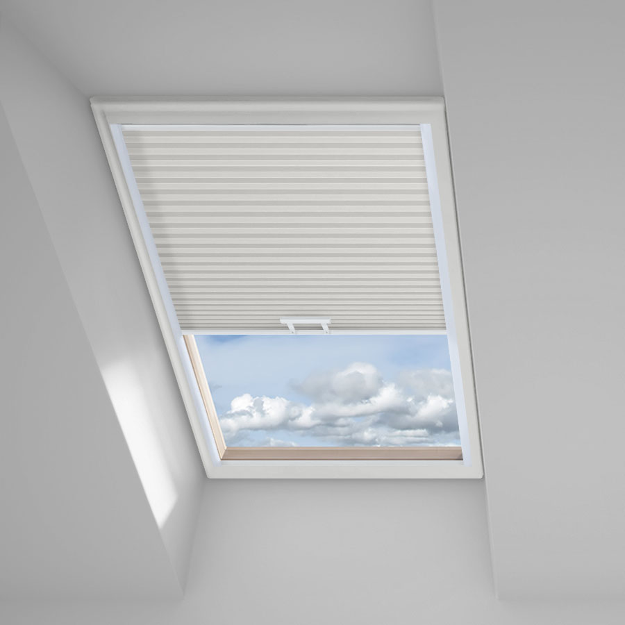 Pale Winter SC 11338