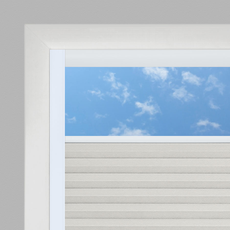 Pale Winter SC 11338