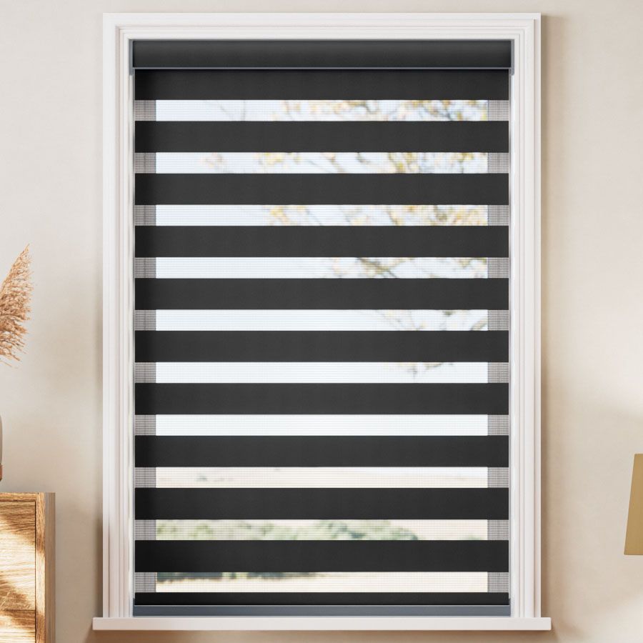 Zebra 10038