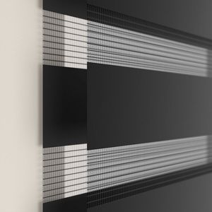 Zebra 10038