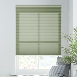 Olive Branch 12935