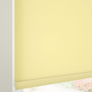 Avery Lemon 11518