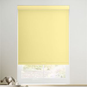Avery Lemon 11560