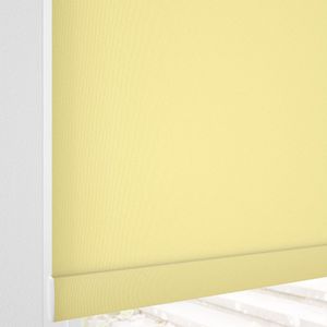 Avery Lemon 11560