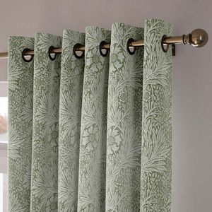 Marigold Moss 11752