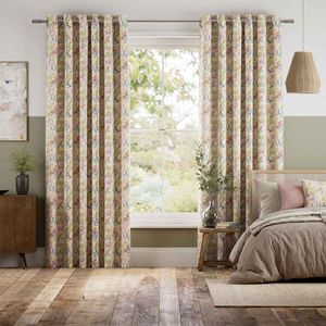 Golden Lily Eden 14754