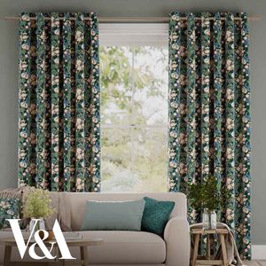 Golden Lily Evergreen 14755