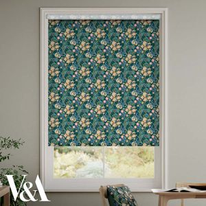 Golden Lily Evergreen 14644