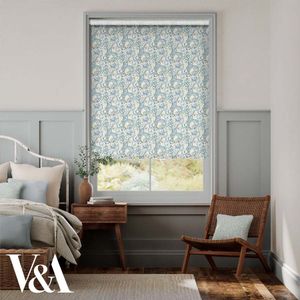Golden Lily Powder Blue 14646