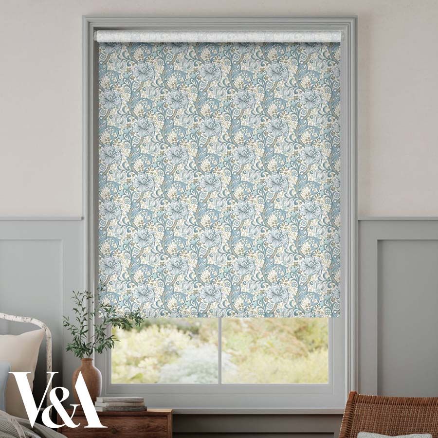 Golden Lily Powder Blue 14646