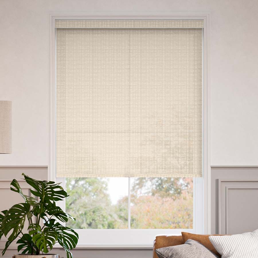 Silver Birch 12136