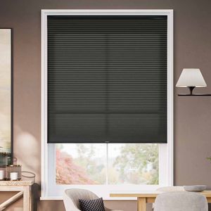 Designer Raven SC 13677