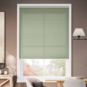 Designer Green Tea SC 13689