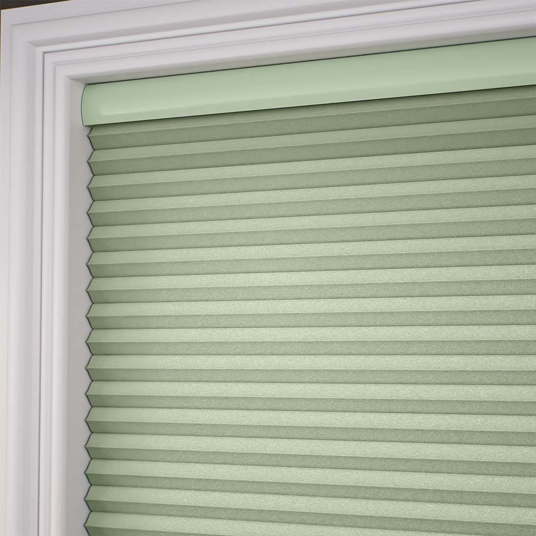 Designer Green Tea SC 13689