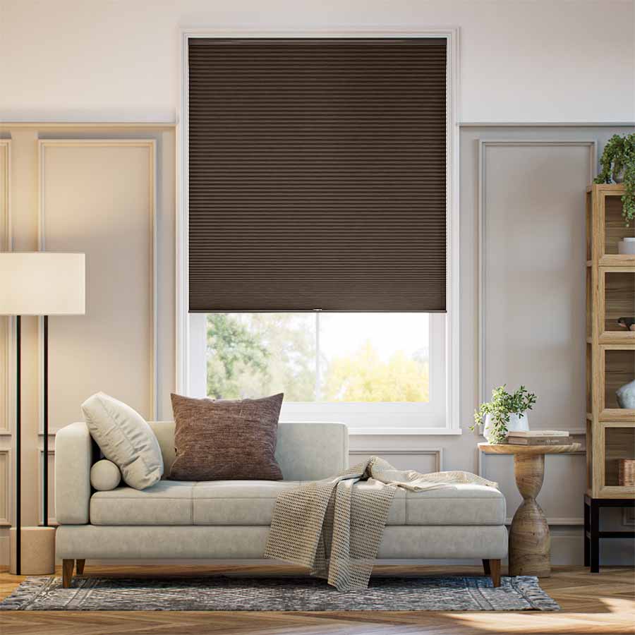 Designer Nutmeg SC 13715