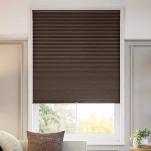 Designer Nutmeg SC 13715