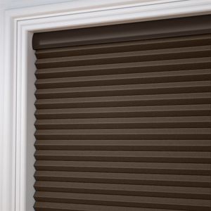 Designer Nutmeg SC 13715